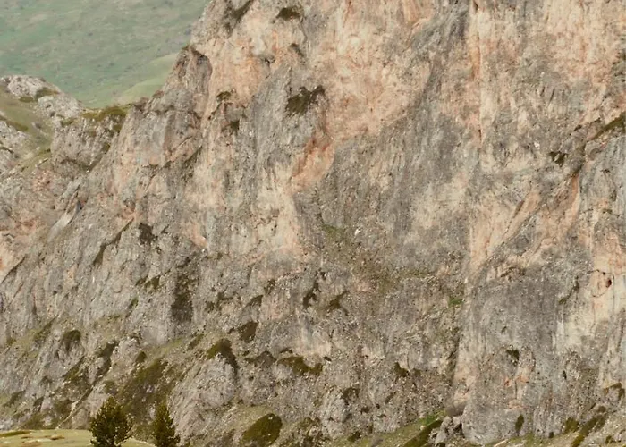 Discovery Compass * تيرانا