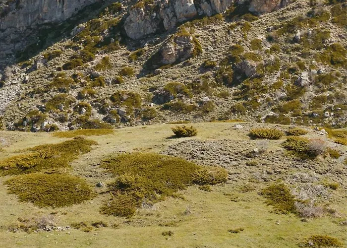 Discovery Compass Luxury tent